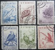 [Animals, type BPZ]