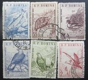 [Animals, type BPZ]