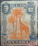 [Giraffe, type C4]