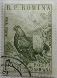 [Animals, type BQD]