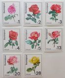 [Roses, tegund BPX]