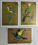 [Birds, Scrivi ADM]