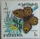 [Butterflies, тып FC]