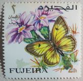 [Butterflies, тып FD]