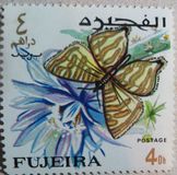 [Butterflies, тып FF]