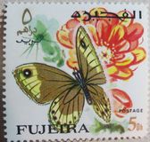 [Butterflies, тып FG]