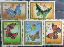 [Butterflies, ประเภท AAX]