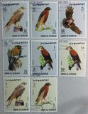[Birds - Falcons, type HQ]