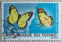 [Butterflies, タイプ DL]