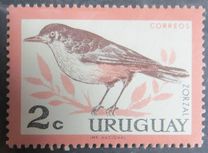 [Birds, type PE]