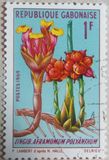 [Flowers, tip HE]