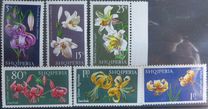 [Flowers - Lilies, type AIH]