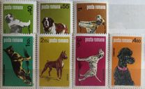 [Dog Show "Canina", type FFR]