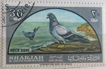 [Airmail - Native Birds, type BJ]