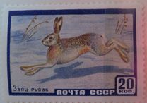 [Fauna of USSR, type BWD]