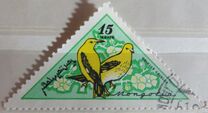 [Birds, type FI]