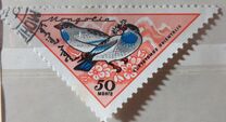 [Birds, type FK]