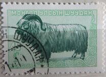 [Mongolian Animals, type CZ]
