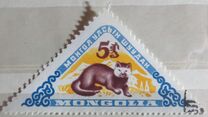 [Mongolian Wildlife, tip DZ]