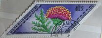 [Rare Medicinal Plants, type AGH]