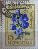 [Flowers, 유형 EN]