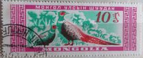 [Mongolian Wildlife, tip EA]