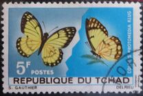 [Butterflies, タイプ DL]