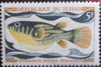 [Fish, type HQ]