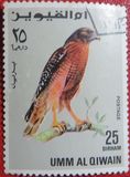 [Birds - Falcons, type HR]