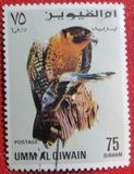 [Birds - Falcons, type HT]