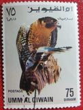 [Birds - Falcons, type HT]