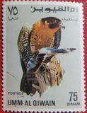 [Birds - Falcons, type HT]