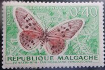 [Butterflies and Agricultural Products, tipas KB]