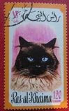 [Cats, type TN]