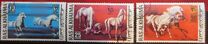 [Horses, type WN]
