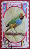 [Birds, type UF]