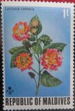 [Flowers of the Maldive Islands, סוג QY]