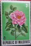 [Flowers of the Maldive Islands, סוג RA]