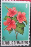 [Flowers of the Maldive Islands, סוג RB]