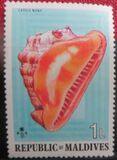 [Sea Shells and Cowries, type TK]