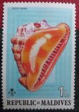 [Sea Shells and Cowries, type TK]