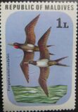 [Birds, type ZO]