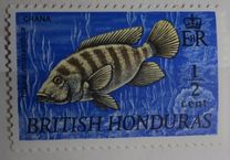 [Wildlife - Fish, tegund DT]
