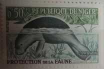 [Animal Protection, type M]