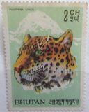 [Animals, 类型 BM]