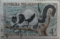 [Protección de la vida salvaje. Lémures., tipo KX]