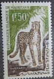 [Animals, type CN]