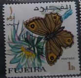 [Butterflies, тып FC]