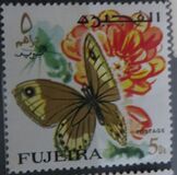 [Butterflies, тып FG]