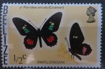 [Butterflies of Belize, 类型 I]